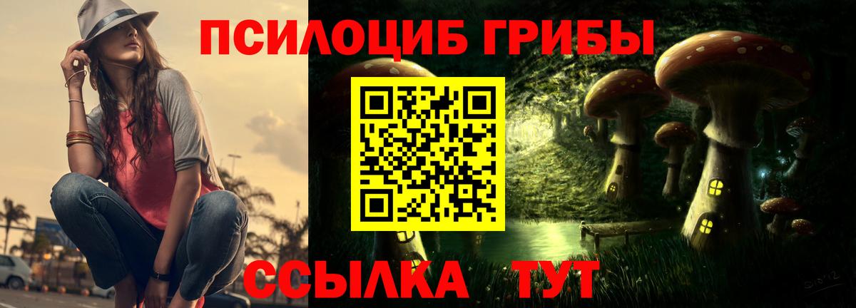 Тында  дарнет шоп  Галлюциногенные грибы Psilocybine cubensis  Вход с VPN  Псилоцибиновые грибы Magic Shrooms 