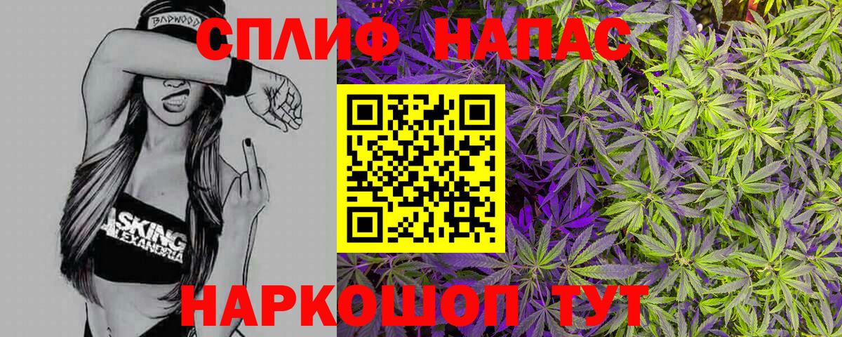 Бошки Шишки семена Тында